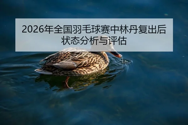 2026年全国羽毛球赛中林丹复出后状态分析与评估